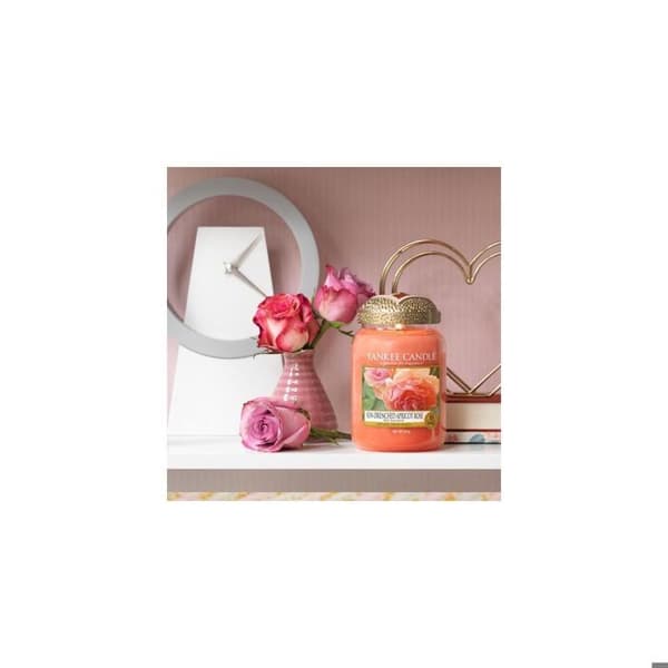 STORT DOFTLJUS SUCCULENT ROSA BURK - YANKEE LJUS