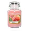Miniatyrbild 2 av 5: STORT DOFTLJUS SUCCULENT ROSA BURK - YANKEE LJUS