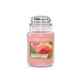 Miniatyrbild 1 av 5: STORT DOFTLJUS SUCCULENT ROSA BURK - YANKEE LJUS