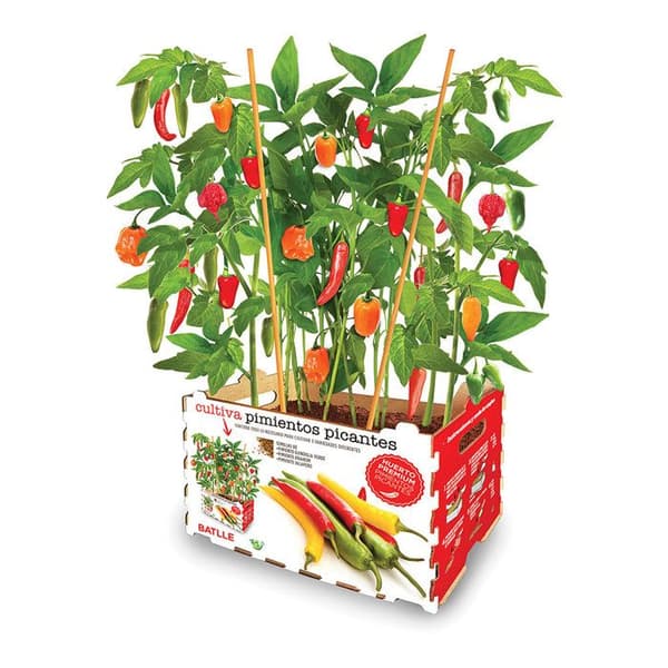 Papperslåda - Batlle - Blandad - Röd och Grön - 30x19,5x16,2 cm - 4 typer av paprika