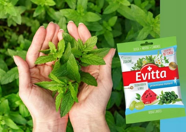 EVITTA SOCKERFRIA GODISAR GRÖNT TE-VATTENMELON