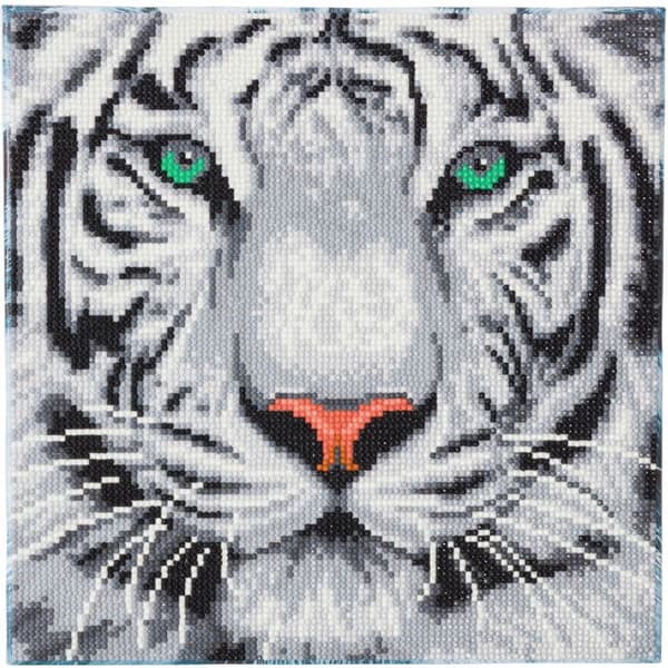 Tavla Broderi Diamant Kristalkonst 30x30cm Snöleopard