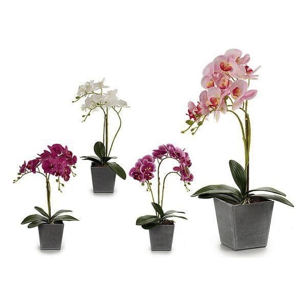 Dekorativa blommor Orkidé Plastkruka Grå (18 x 53 x 28 cm)