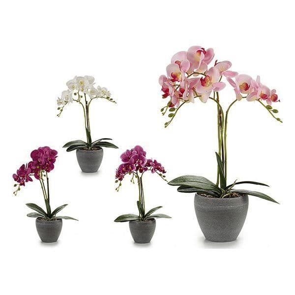 Dekorativa blommor Orkidé Plastkruka Rund Grå (25 x 50 x 36 cm)