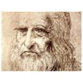 Miniatyrbild 1 av 4: Legendarte - Målning, tryck på duk - Självporträtt Leonardo Da Vinci cm. 60x80