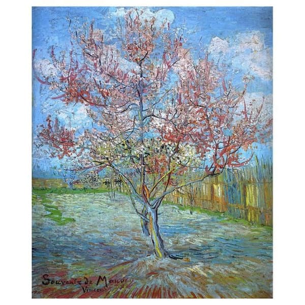 Legendarte - Målning, Canvastavla - Persikor i blom Vincent Van Gogh cm. 60x80