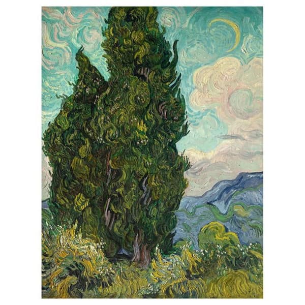 Tavla, Canvastryck - Cypress - Väggdekoration - 60x80cm