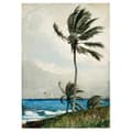 Miniatyrbild 1 av 4: Legendarte - Målning, Tryck på duk - Palmträd, Nassau - Homer Winslow cm. 50x70