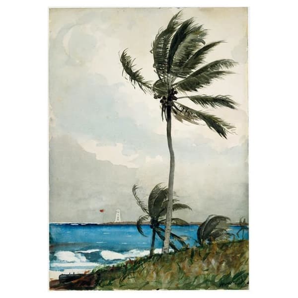 Legendarte - Målning, Tryck på duk - Palmträd, Nassau - Homer Winslow cm. 50x70