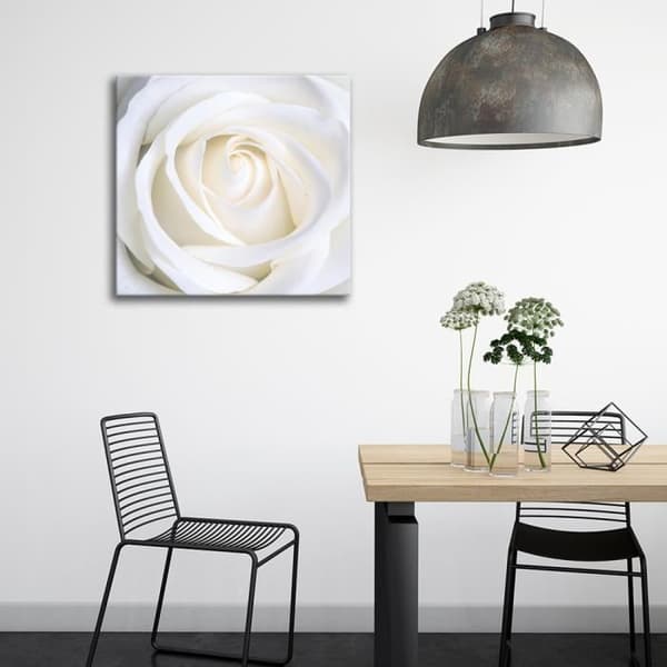Målning, tryck på duk - Vit ros cm. 60x60