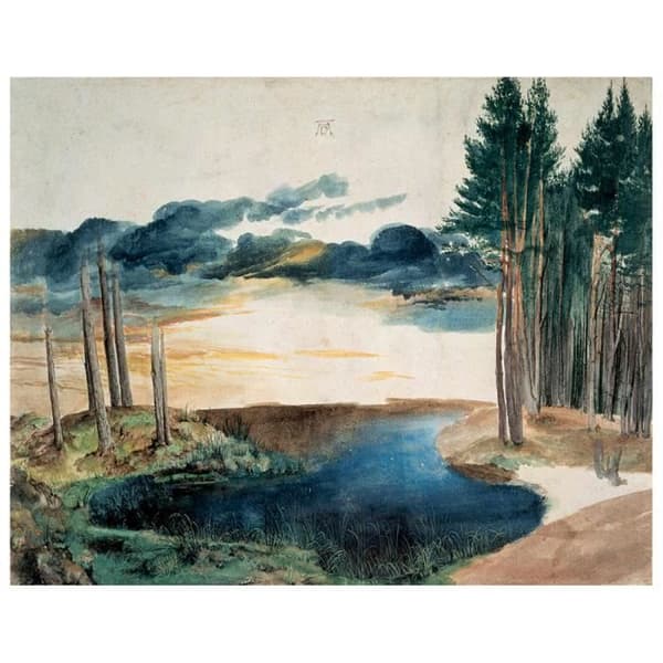 Legendarte - Målning, Tryck på duk - Damm i skogen Albrecht Dürer cm. 80x100