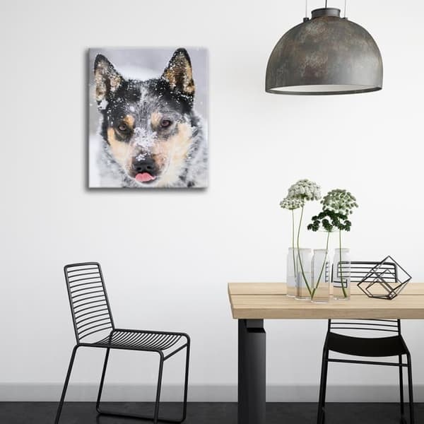 Legendarte - Målning, tryck på duk - Nosparti av en grå varg cm. 50x60