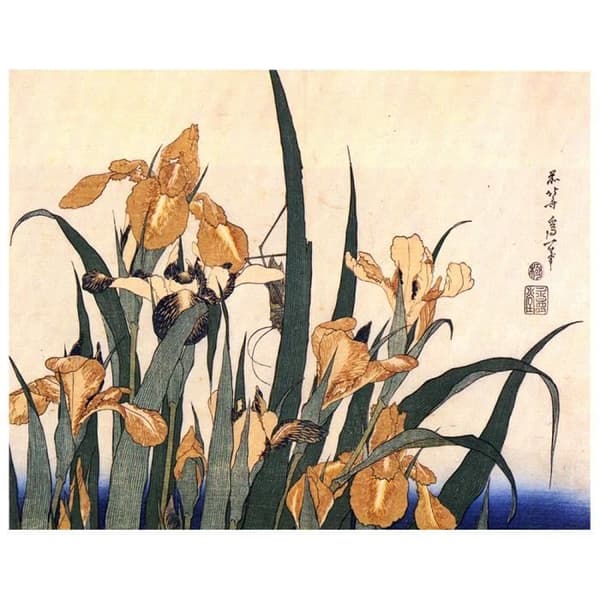 Legendarte - Målning, tryck på duk - Iris och gräshoppa Katsushika Hokusai cm. 80x100
