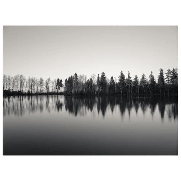 Legendarte - Målning, Tryck på duk - Träd som reflekterar över vatten cm. 60x80