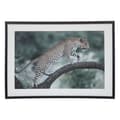 Miniatyrbild 1 av 2: Tryckt och inramat duk "Leopard Juni" 50 x 70 cm Atmosphera