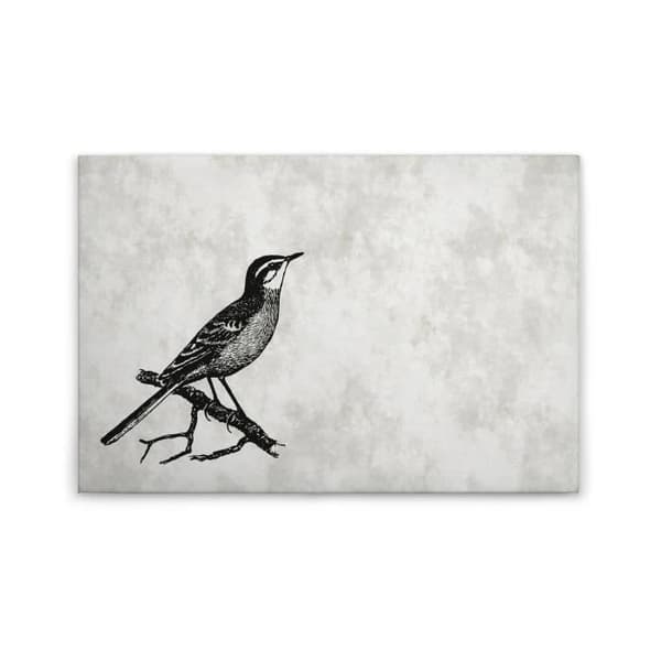 Canvastavla - Tadessi - M1-No.50112 - Fåglar - Grå - Svart - Canvas på ram - Djur - 90 x 60 cm
