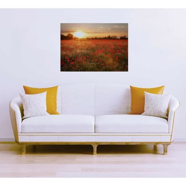 Canvastavla - Tadessi - Blommor - M1-No.50354 - Blommor - Röd - Orange - Canvas på ram - Vallmofält - 70 x 50 cm