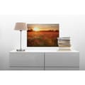 Miniatyrbild 2 av 4: Canvastavla - Tadessi - Blommor - M1-No.50354 - Blommor - Röd - Orange - Canvas på ram - Vallmofält - 70 x 50 cm