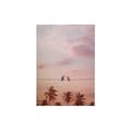 Miniatyrbild 1 av 4: Canvastavla - Tadessi - M1-No.50371 - Djur - Rosa - Canvas på ram - Fåglar - - 50 x 70 cm