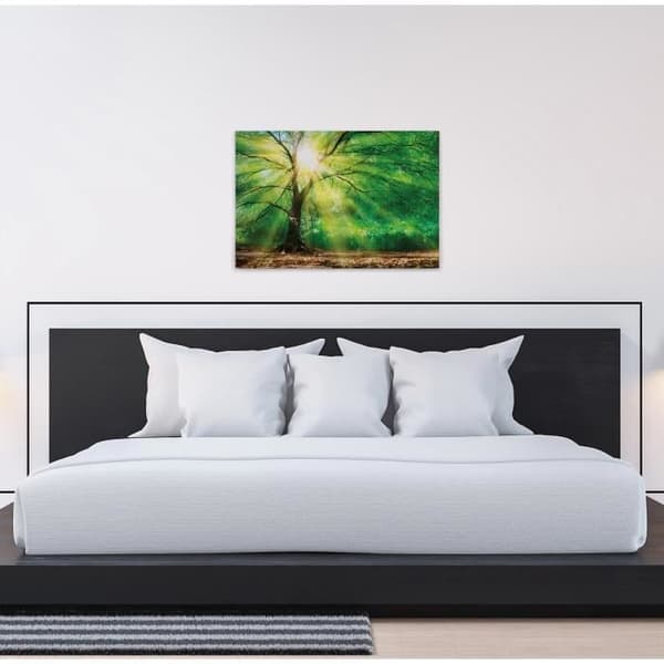 Canvastavla - Tadessi - Skog - M1-nr.50057 - Träd - Grön - Brun - Canvas på bårram - Natur - 90 x 60 cm