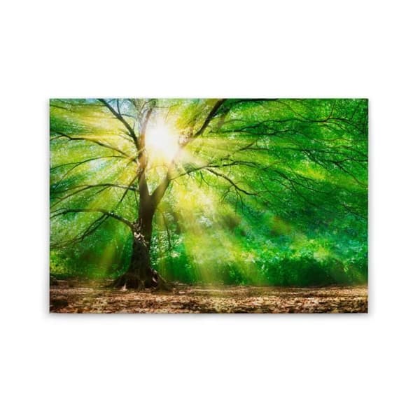 Canvastavla - Tadessi - Skog - M1-nr.50057 - Träd - Grön - Brun - Canvas på bårram - Natur - 90 x 60 cm