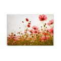 Miniatyrbild 1 av 4: Canvastavla - Tadessi - M1-No.50035 - Blommor - Röd - Grön - Blommor - Natur - Canvas på bårram - 90 x 60 cm