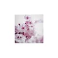 Miniatyrbild 1 av 4: Canvastavla - Tadessi - Blommor - M1-No.50502 - Blommor - Rosa - Vit - Canvas på bårram - Natur - 50 x 50 cm