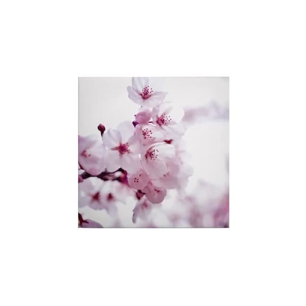 Canvastavla - Tadessi - Blommor - M1-No.50502 - Blommor - Rosa - Vit - Canvas på bårram - Natur - 50 x 50 cm