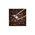 Miniatyrbild 1 av 4: Canvasbild - Tadessi - Drycker - M1-No.50520 - Mat - Brun - Grå - Canvas på bårram - Kaffefrön - 50 x 50 cm