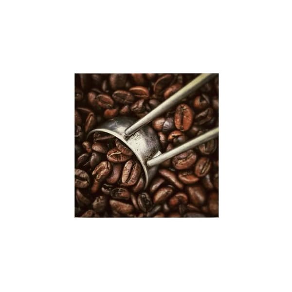 Canvasbild - Tadessi - Drycker - M1-No.50520 - Mat - Brun - Grå - Canvas på bårram - Kaffefrön - 50 x 50 cm