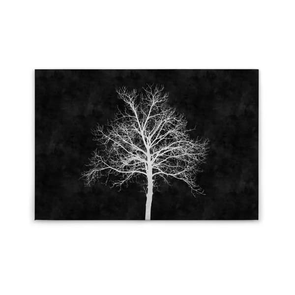 Canvastavla - Tadessi - Skog - M1-No.50104 - Träd - Svart - Vit - - 90 x 60 cm