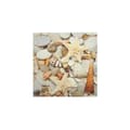 Miniatyrbild 1 av 4: Canvastavla - Tadessi - M1-No.50515 - Marin - Beige - Canvas på bår - Skal - - 50 x 50 cm