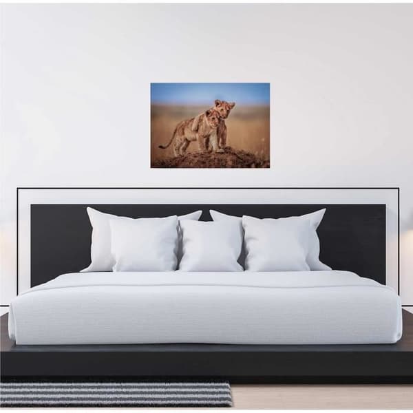 Canvastavla - Tadessi - M1-No.50351 - Djur - Blå - Grön - Canvas på ram - Lejon - Afrika - 70 x 50 cm