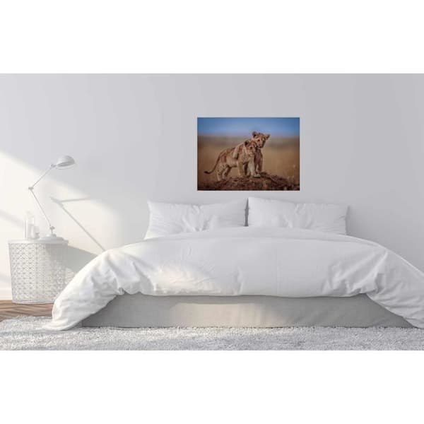 Canvastavla - Tadessi - M1-No.50351 - Djur - Blå - Grön - Canvas på ram - Lejon - Afrika - 70 x 50 cm