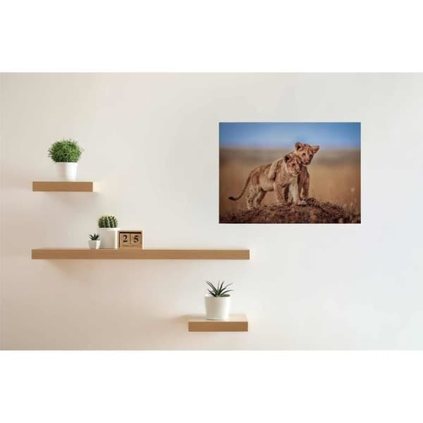 Canvastavla - Tadessi - M1-No.50351 - Djur - Blå - Grön - Canvas på ram - Lejon - Afrika - 70 x 50 cm
