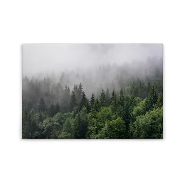 Canvastavla - Tadessi - M1-No.50038 - Träd - Skog - Grön - Vit - Canvas på bårram - Natur - 90 x 60 cm