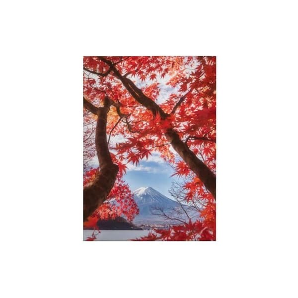Canvastavla - Tadessi - Löv - M1-nr.50372 - Träd - Röd - Canvas på bårram - Berg - 50 x 70 cm