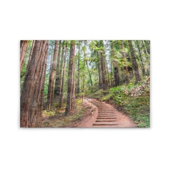 Canvastavla - Tadessi - Skog - M1-nr.50051 - Träd - Djur - Grön - Brun - Canvas på bårram - 90 x 60 cm