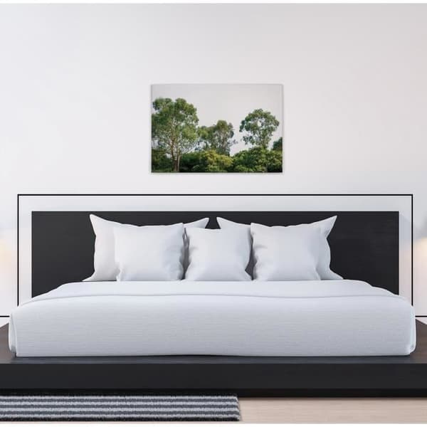 Canvastavla - Tadessi - Skog - M1-nr.50037 - Träd - Grön - Vit - Canvas på bårram - Natur - 90 x 60 cm