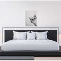 Miniatyrbild 3 av 4: Canvastavla - Tadessi - M1-No.50417 - Djur - Vit - Svart - Canvas på ram - Katt - 50 x 70 cm