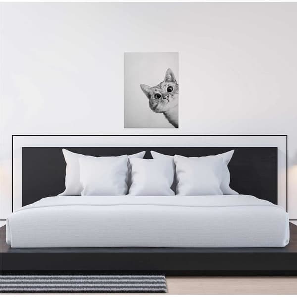 Canvastavla - Tadessi - M1-No.50417 - Djur - Vit - Svart - Canvas på ram - Katt - 50 x 70 cm
