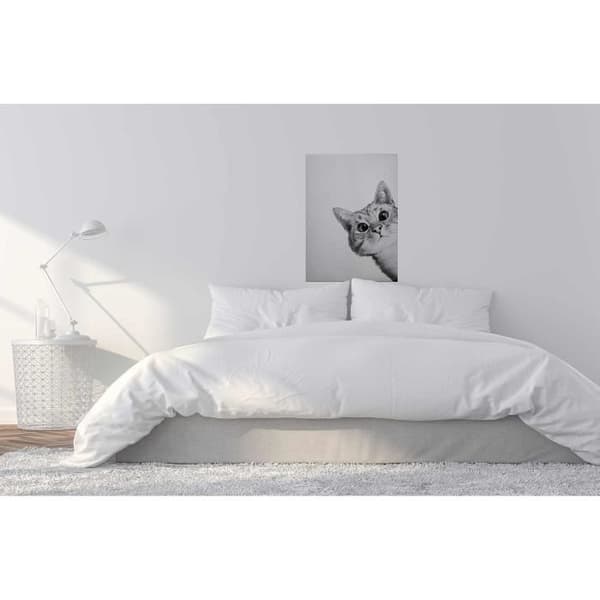 Canvastavla - Tadessi - M1-No.50417 - Djur - Vit - Svart - Canvas på ram - Katt - 50 x 70 cm