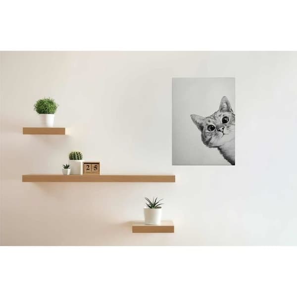 Canvastavla - Tadessi - M1-No.50417 - Djur - Vit - Svart - Canvas på ram - Katt - 50 x 70 cm