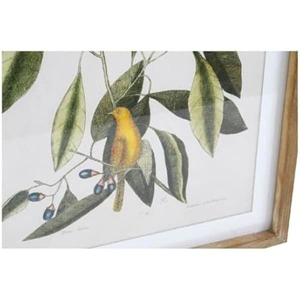 Målning - DKD HEMINNREDNING - Fågel - 55 x 70 cm - Väggdekoration - Djurtema