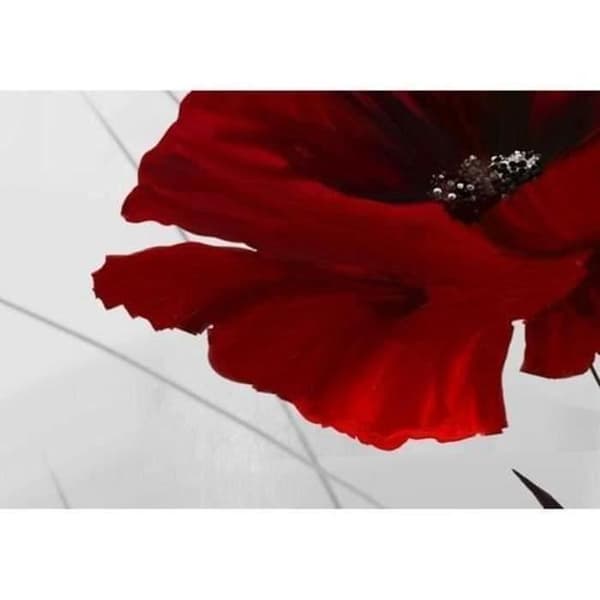 TD® Poppy Canvas 5 delar oinramat högupplöst naturligt blommönster