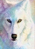 Miniatyrbild 2 av 6: Diamantbroderi Vit Varg 30x40 cm