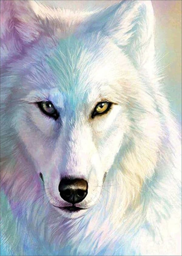 Diamantbroderi Vit Varg 30x40 cm