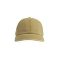 Miniatyrbilde 5 av 5: Atlantis Digg Pigment Dyed 6 Panel Cap