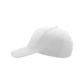 Miniatyrbild 3 av 5: Atlantis Liberty Five Heavy Brush Cotton 5 Panel Cap