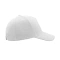 Miniatyrbild 4 av 5: Atlantis Liberty Five Heavy Brush Cotton 5 Panel Cap